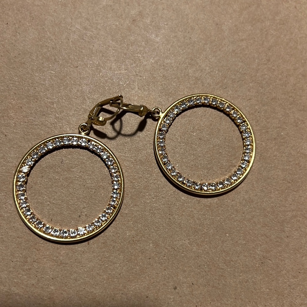 Catherine Popesco gorgeous hoops